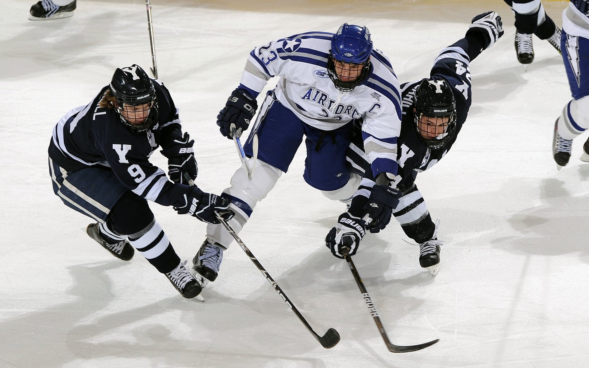 _水上高速滑艇：水上速度的极致追求_，超高水上滑梯